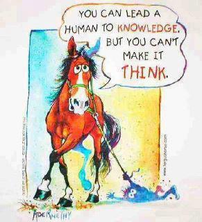 Lead a Human to Knowledge