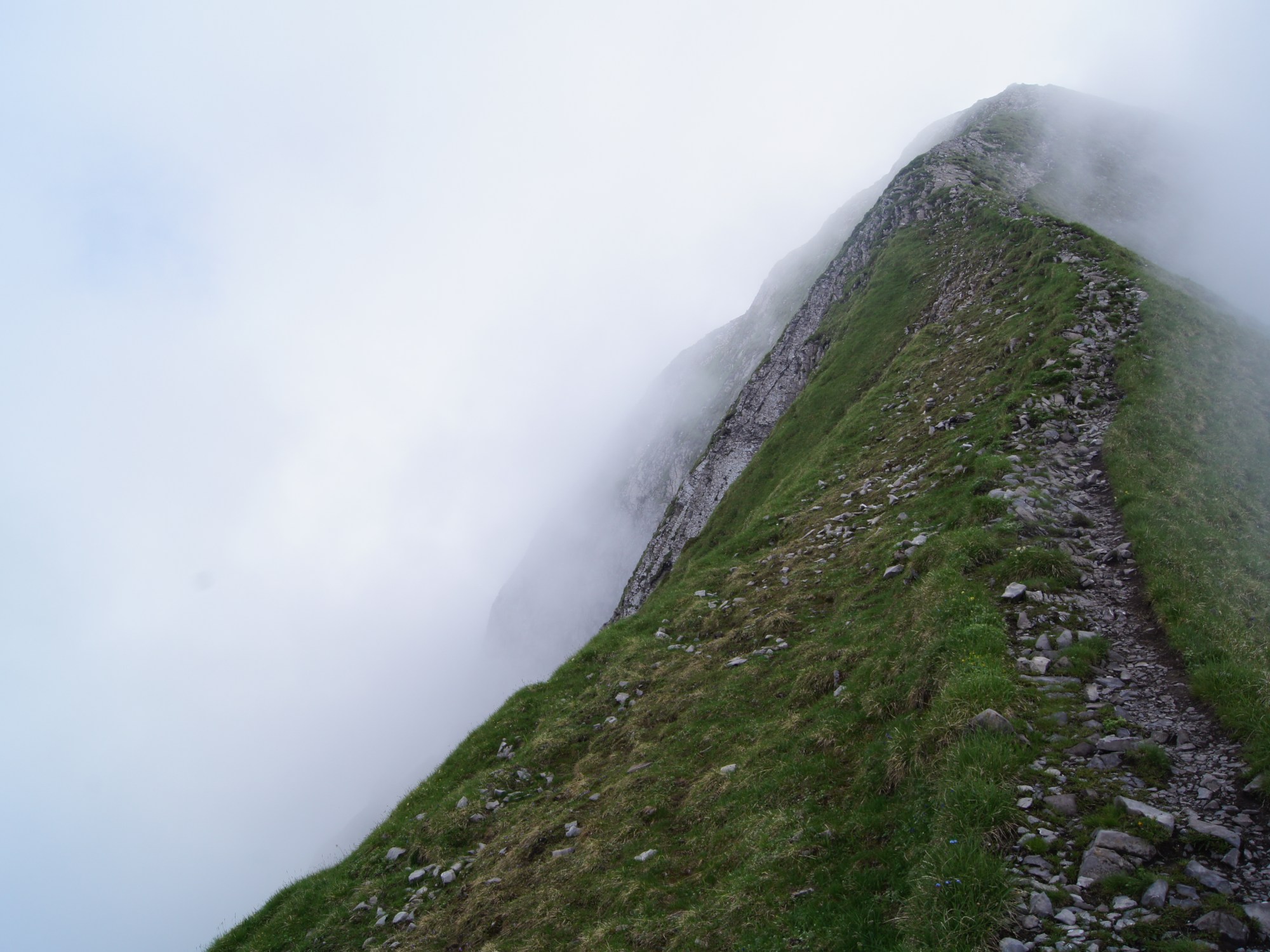 "Not all those who wander are lost, keep faith in the road beneath the fog." Ernouf Guilaume.